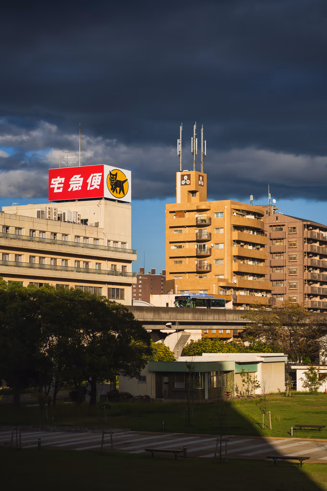 20231005 日本14