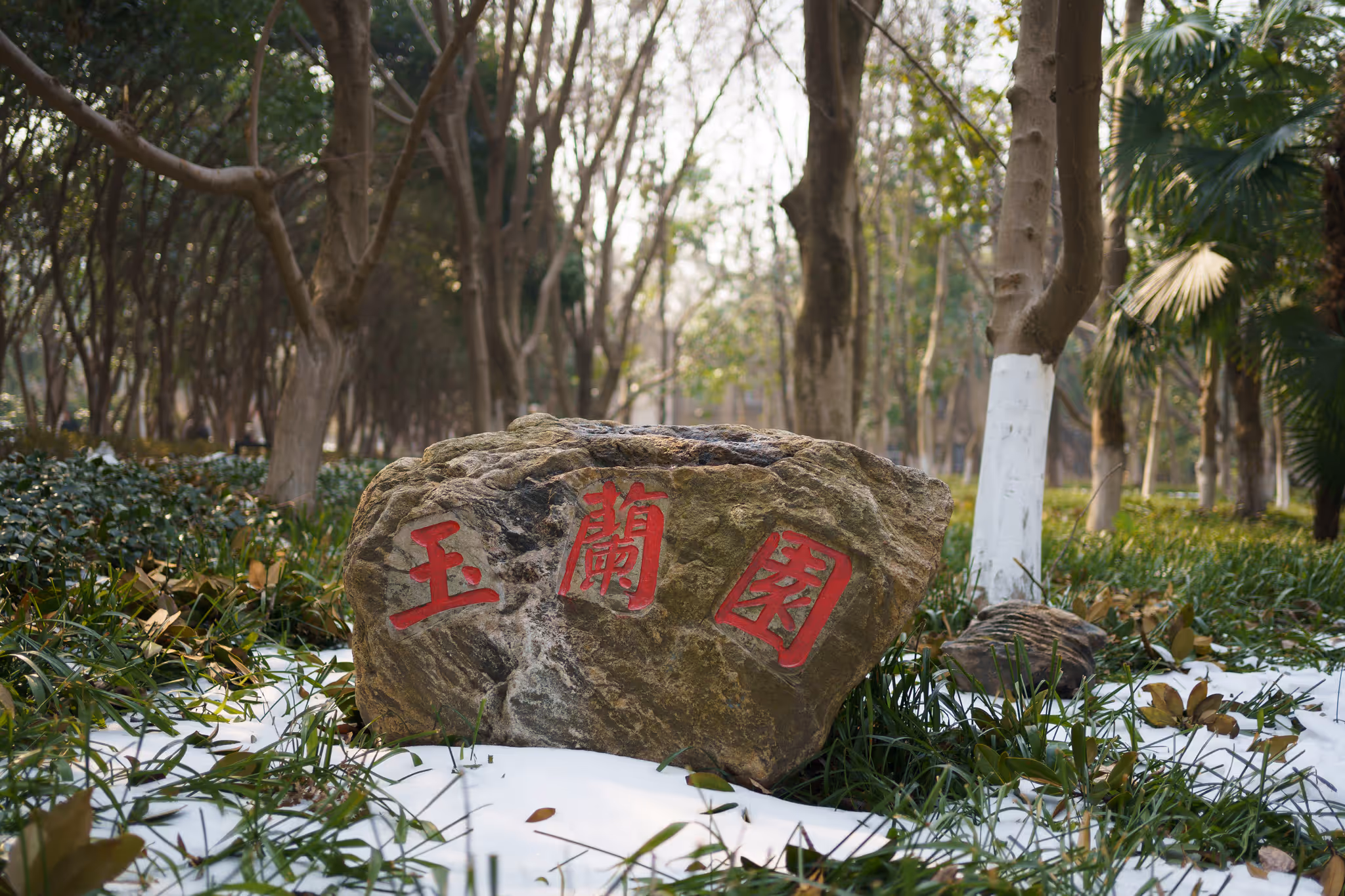 20240227 华师西区