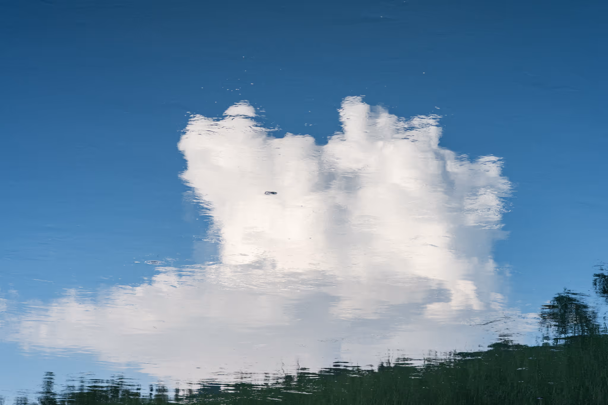 20250823 倒影 (1)