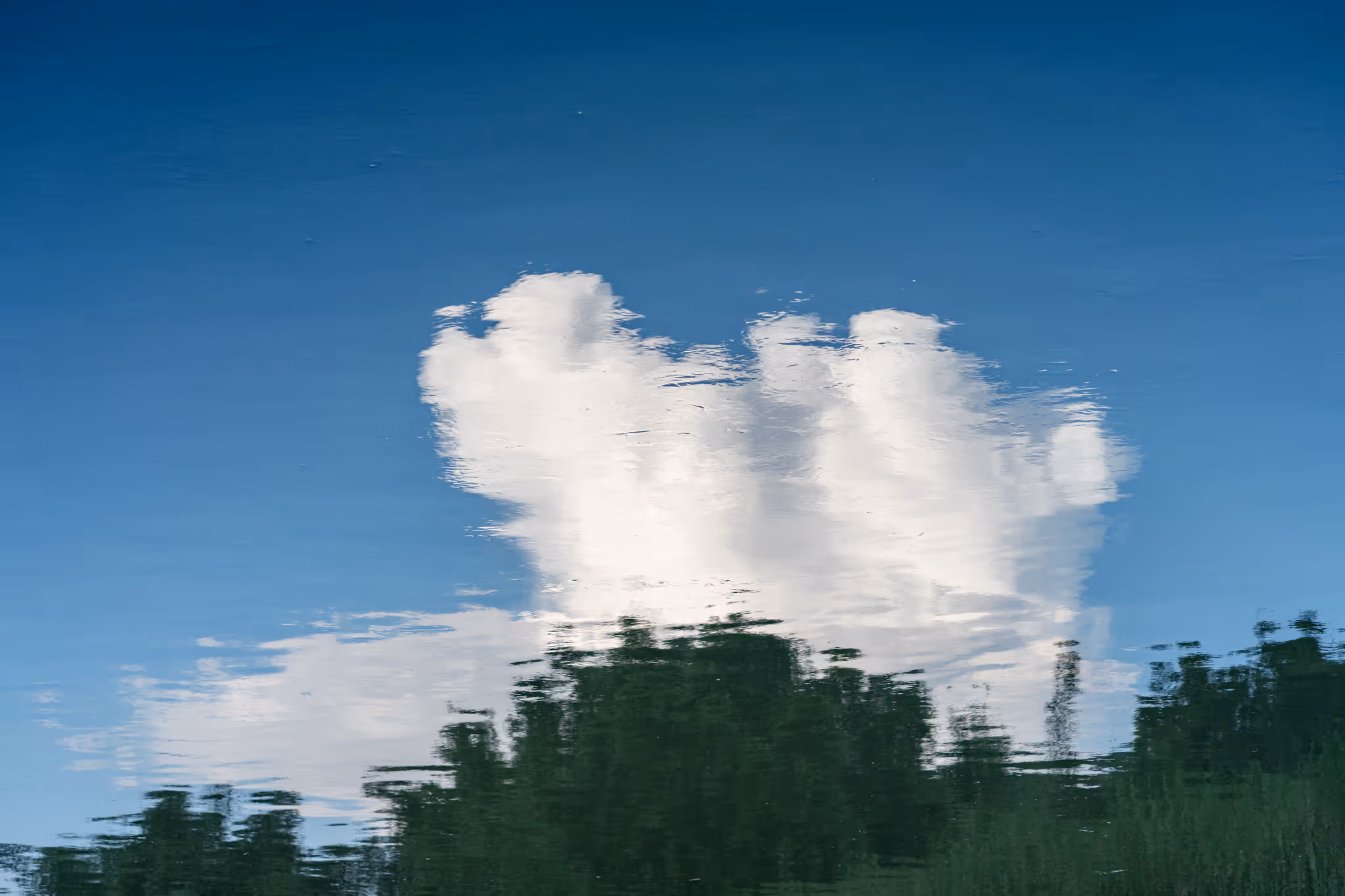20250823 倒影 (2)