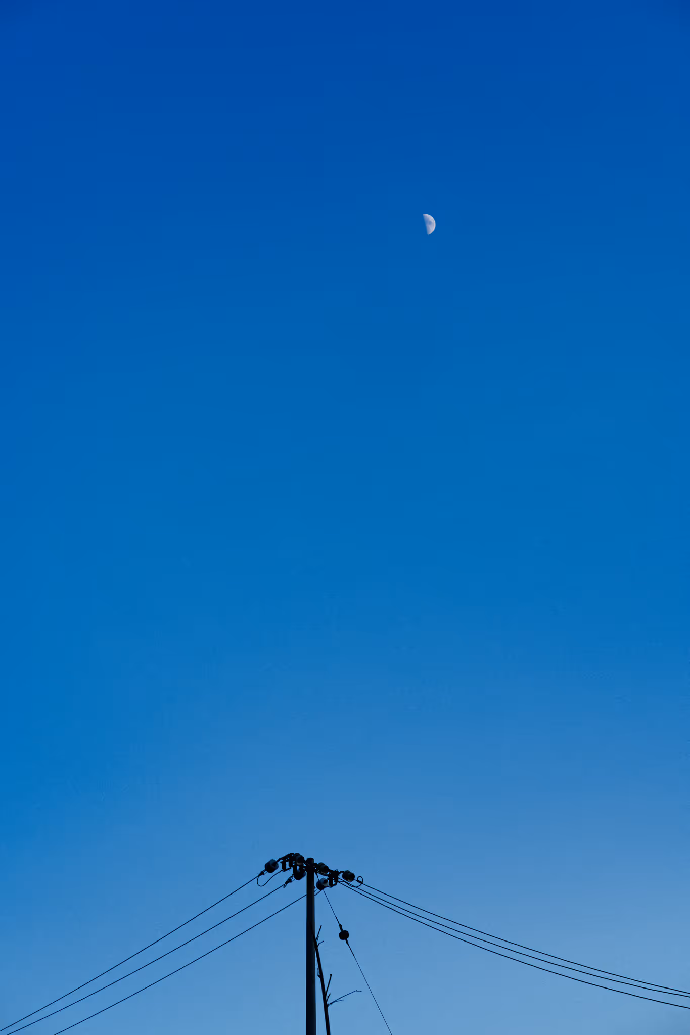 20250831 月亮与电线杆